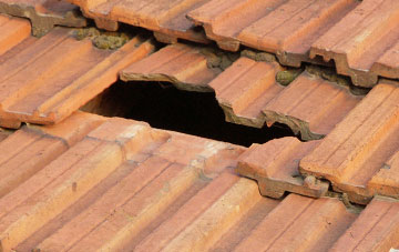 roof repair Bream, Gloucestershire